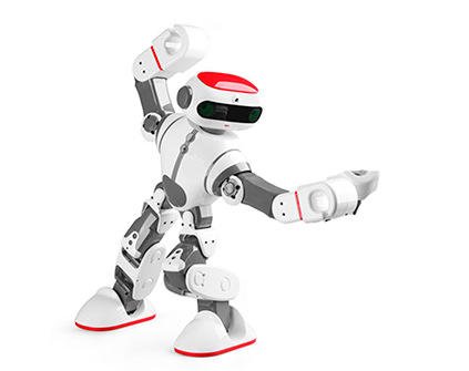 Робот WLToys F8 Dobi