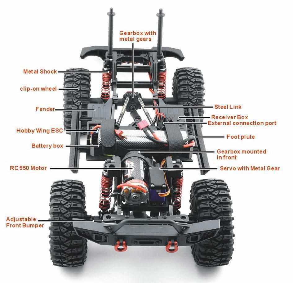 Desert fox buggy clearance