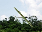 caption  6