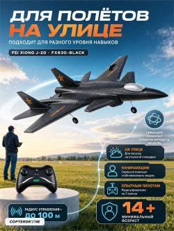 Радиоуправляемый самолет Fei Xiong J-20 RTF 2.4G - FX830-BLACK