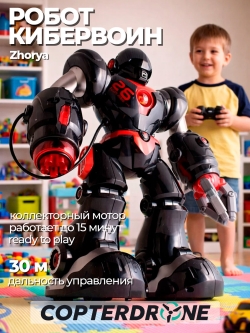 Робот Радиоуправляемый Кибервоин Zhorya - ZYA-A2749 / 7088
