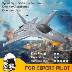 Радиоуправляемый самолет Volantex RC F16 4ch LiPo RTF 2.4G - EXA76110R