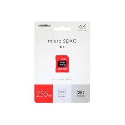 Карта памяти Micro SDHC 256Gb class 10