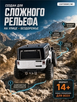 Радиоуправляемая машина краулер RGT Pioner 4WD RTR масштаб 1:10 2.4G - EX86010-JK|R86237-1