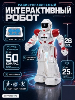 Радиоуправляемый интерактивный робот 26 см - ZYA-A2746-RED