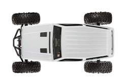 Радиоуправляемый краулер AXIAL Wraith Spawn 4WD 1:10 AX90045