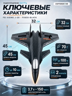 Радиоуправляемый самолет Fei Xiong J-20 RTF 2.4G - FX830-BLACK