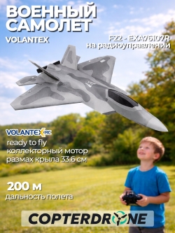 Радиоуправляемый самолет Volantex RC F22 2.4G 4ch RTF - EXA76107R