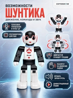 Интерактивный робот Шунтик (управление голосом и с пульта, песни, сказки) - ZYI-I0018