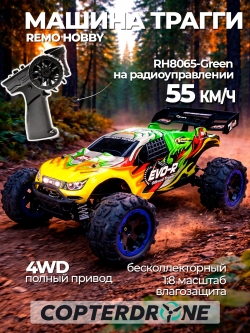 Радиоуправляемая трагги Remo Hobby Truggy Brushless 4WD RTR масштаб 1:8 2.4G RH8065-GREEN