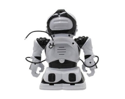 Интерактивный робот Jia Qi Robokid TT338