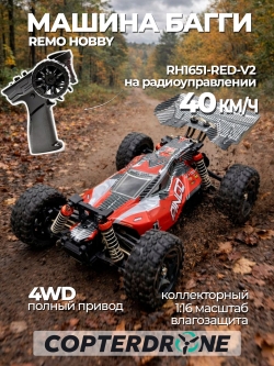 Радиоуправляемый багги Remo Hobby RH1651 4WD RTR масштаб 1:16 2.4G - RH1651 Red