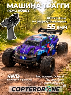 Радиоуправляемый трагги Remo Hobby S EVO-R Brushless 4WD 2.4G 1/16 RTR RH1665-BLUE