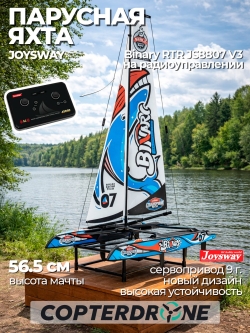 Радиоуправляемый мини-катамаран Joysway Binary V3 RTR-JS8807V3