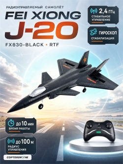 Радиоуправляемый самолет Fei Xiong J-20 RTF 2.4G - FX830-BLACK