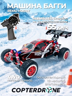 Радиоуправляемый багги Remo Hobby Scorpion 4WD RTR масштаб 1:8 2.4G RH8055-RED