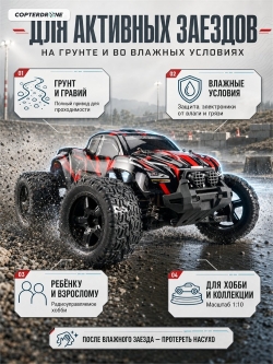 Радиоуправляемый монстр Remo Hobby RH1031PRO-RED 4WD RTR масштаб 1:10 2.4G