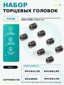 Торцевые головки шестигранных винтов Remo Hobby М3x3 - F5228