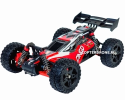 Радиоуправляемая машина багги Remo Hobby Dingo UPGRADE 4WD RTR 1:16 2.4G - RH1651UPG-RED